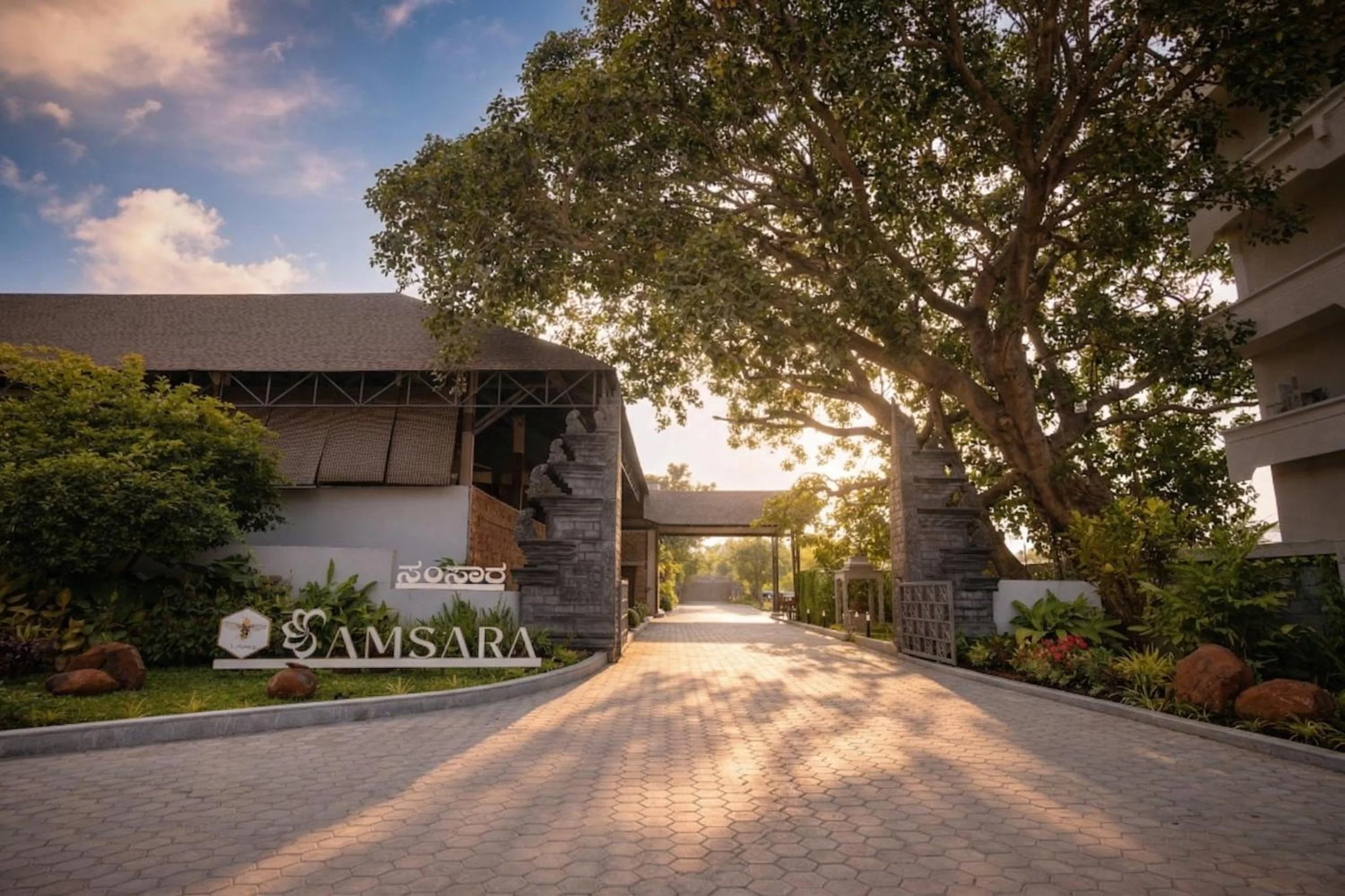 Sunlight through the entrance tree, with Samsara signage beside the stone gateway